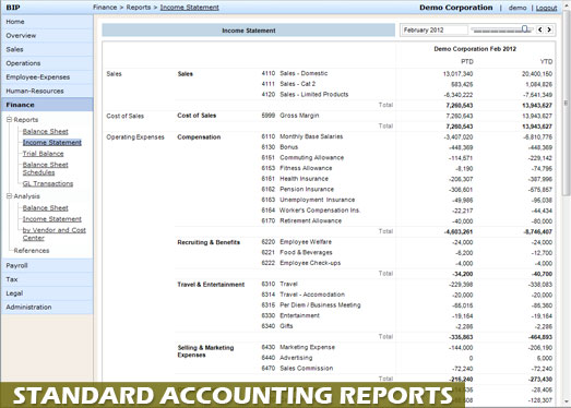 Accounting reports in standard formats