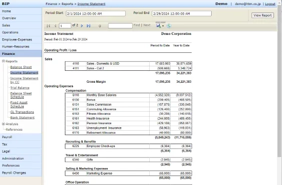 Accounting reports in standard formats