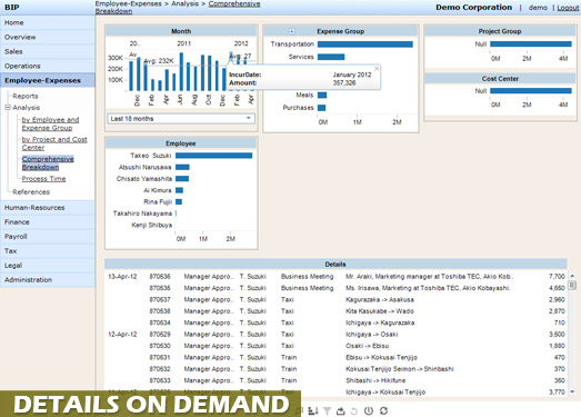 Employee expense accounting details on demand