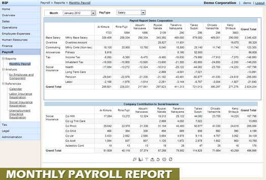 Payroll monthly standard report